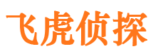 温江市调查公司